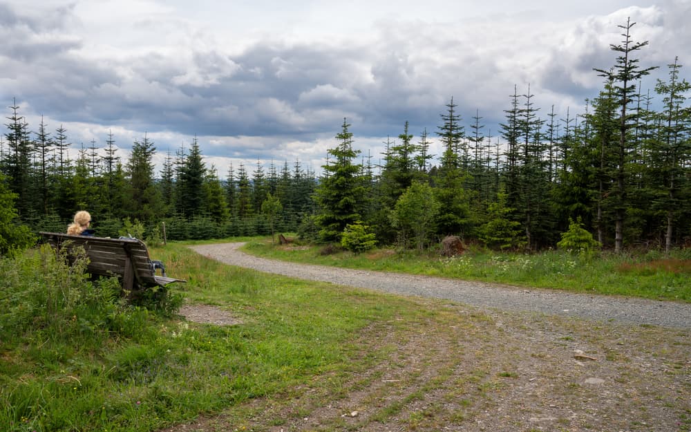 Rothaarsteig Trail Everything About Hiking In Sauerland