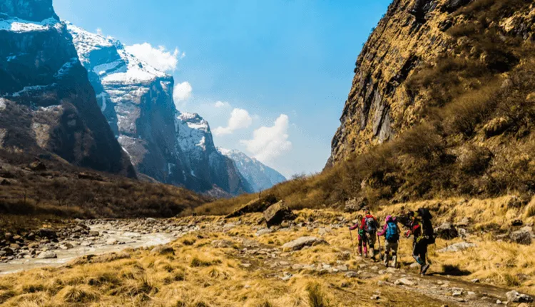 Nepal Trekking Tours: The Annapurna or the Everest Region? 