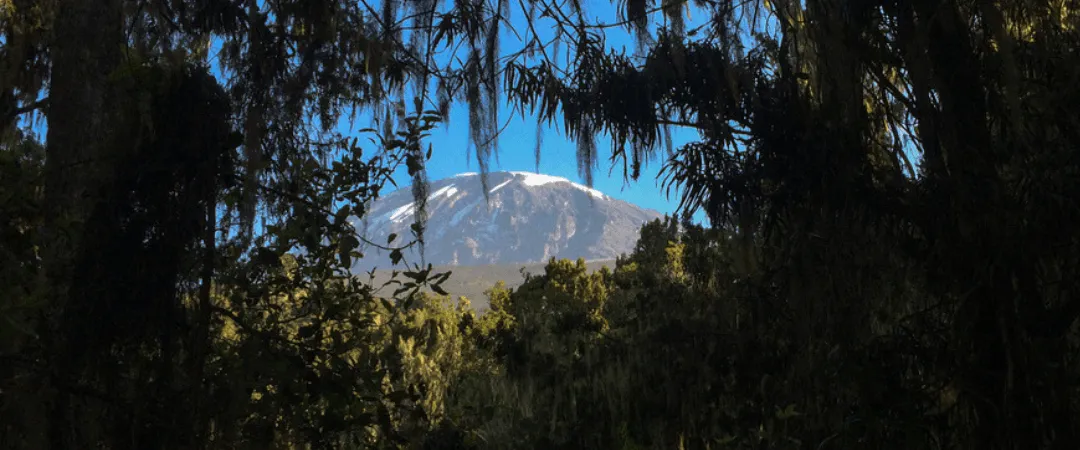 Ruta Rongai: La ruta más salvaje del Kilimanjaro