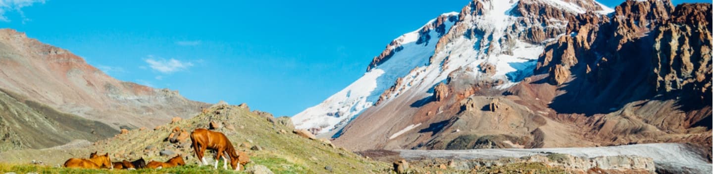 Private Tour zum Berg Kazbegi