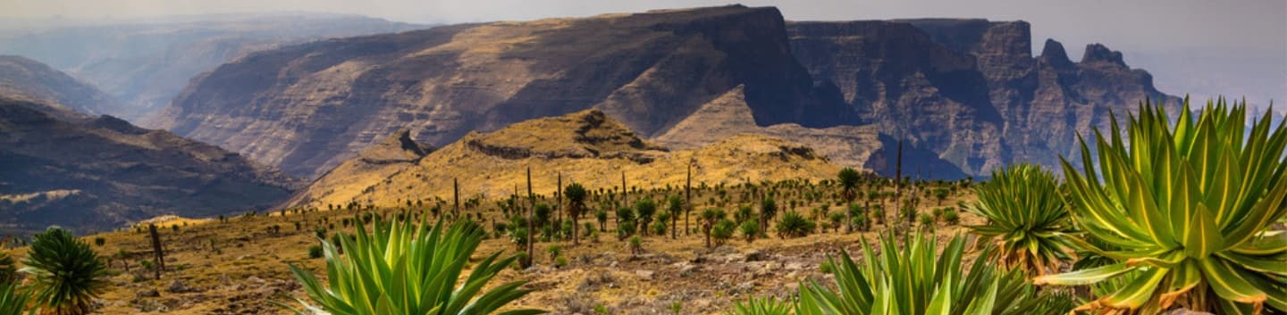 Trekking in den Simien Bergen