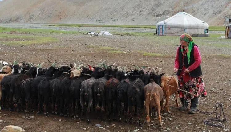 Klassieke Hike in West-Mongolië 6