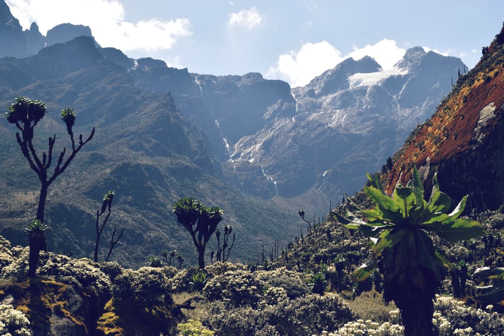 Centrale Circuit Rwenzori Bergtrekking