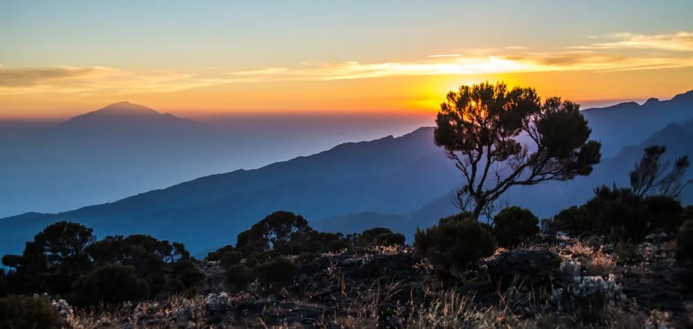 Mount Meru & 7-tägiger Lemosho Route Trek