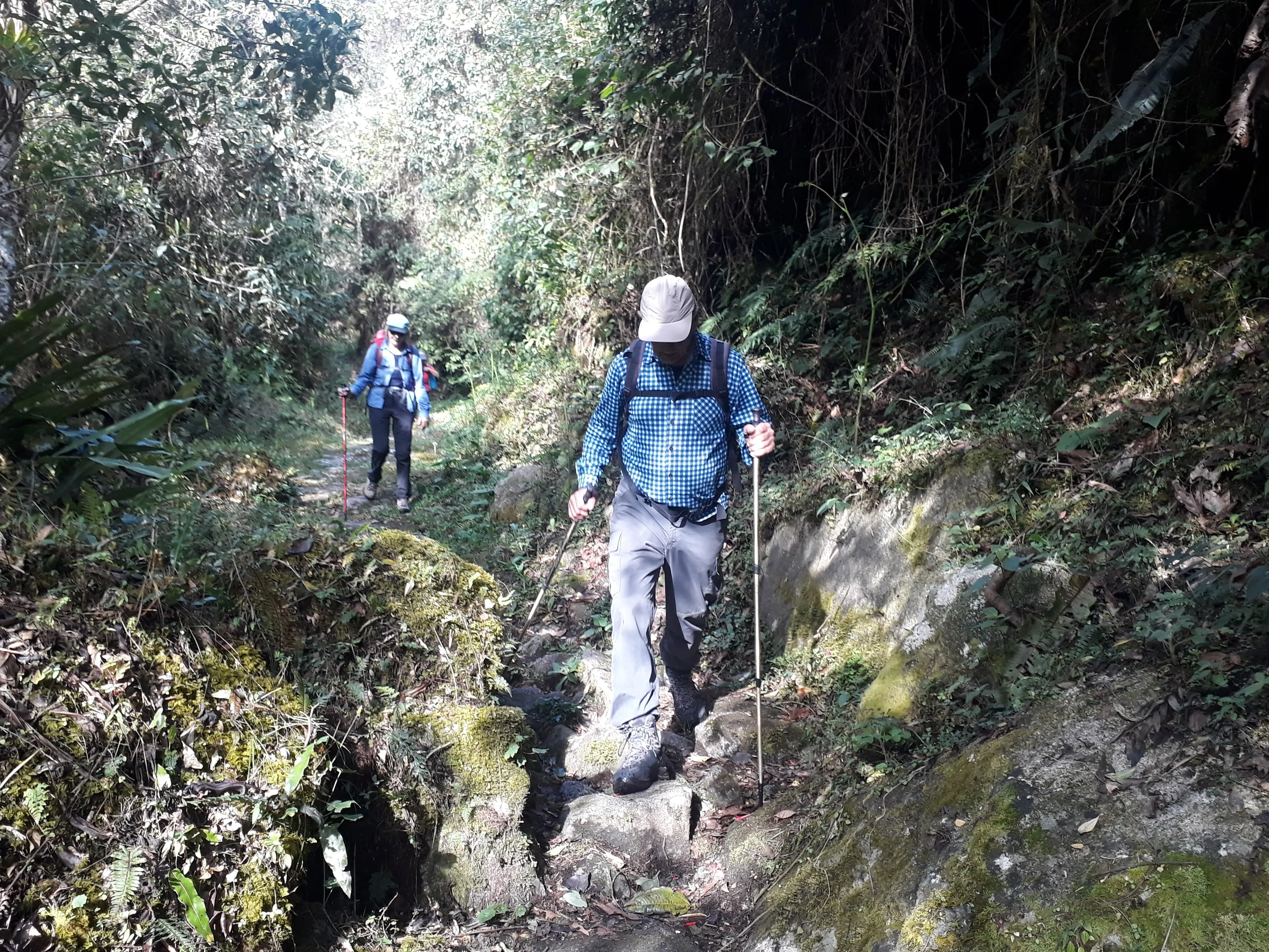 Choro Inca Trail Trek 1