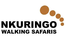 Nkuringo Walking Safari's