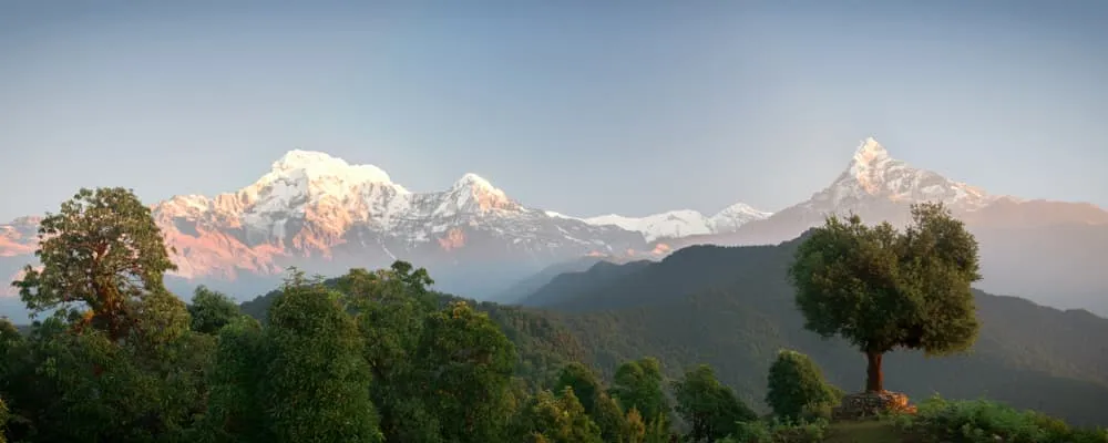 Mardi Himal Trek: een verborgen juweel in de Annapurnas