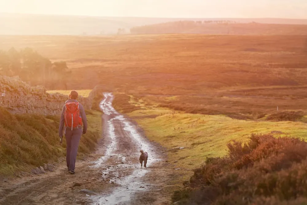The best long distance walks in England