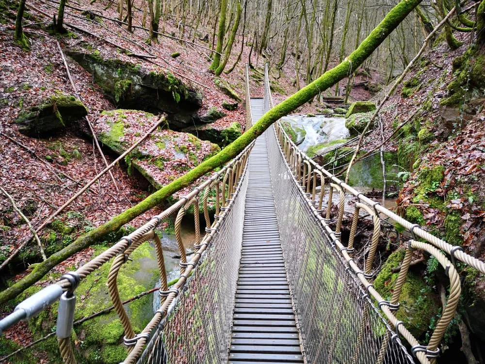 Hiking the Eifelsteig: Discover Eifel National Park