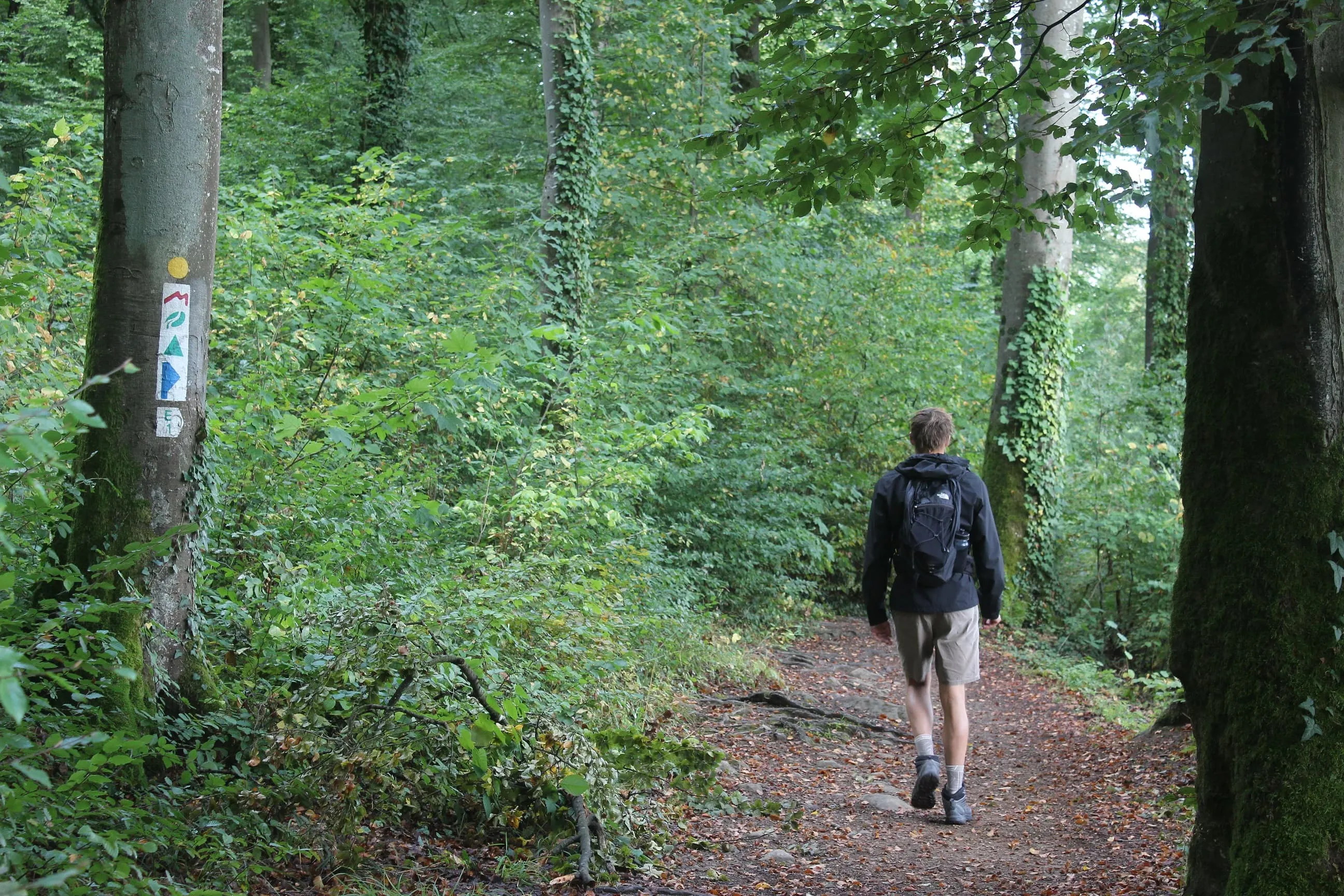 Mullerthal Trail: 10 Tipps vom Trekking-Experten