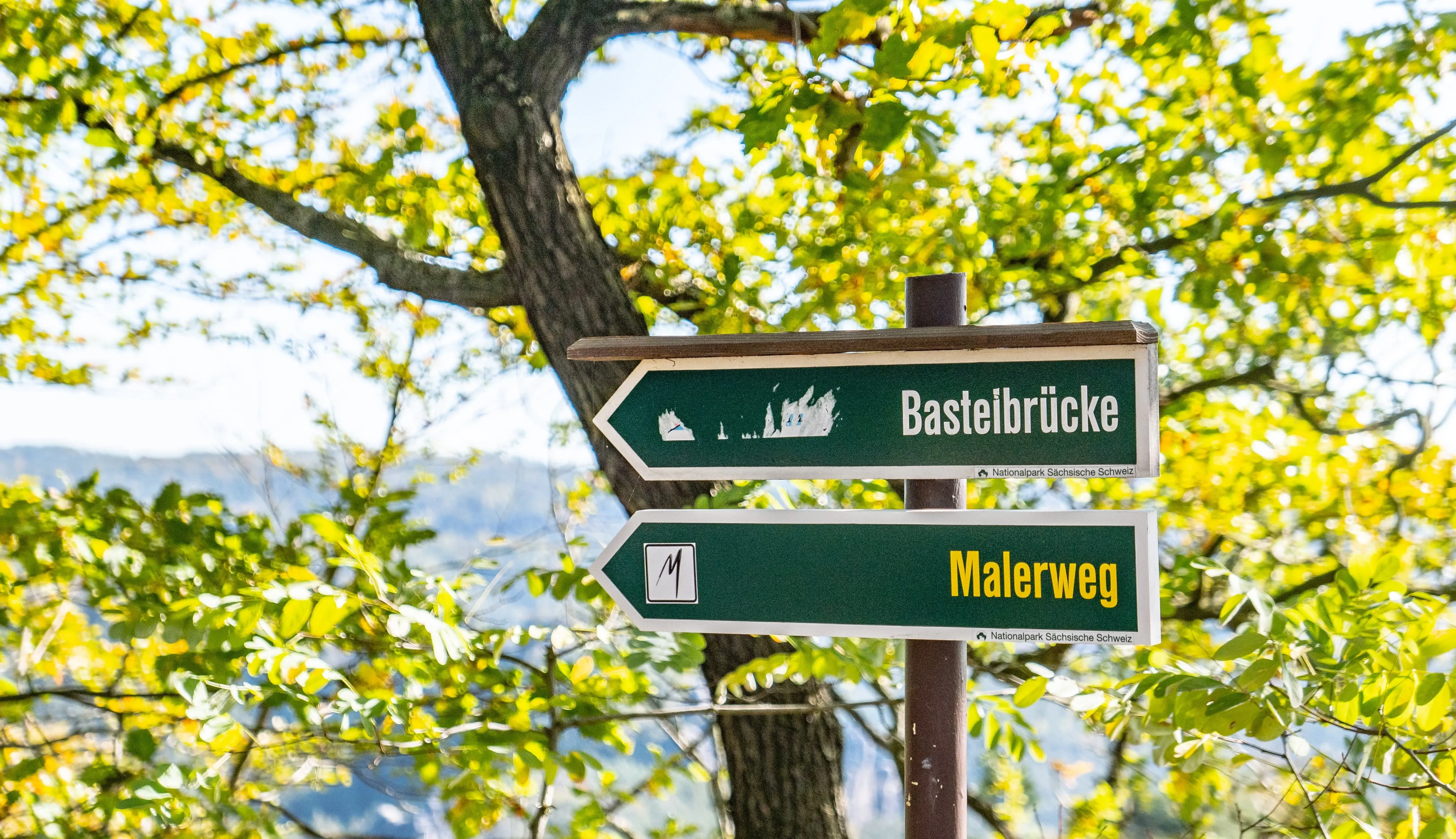 The Most Beautiful Stages of the Malerweg 7