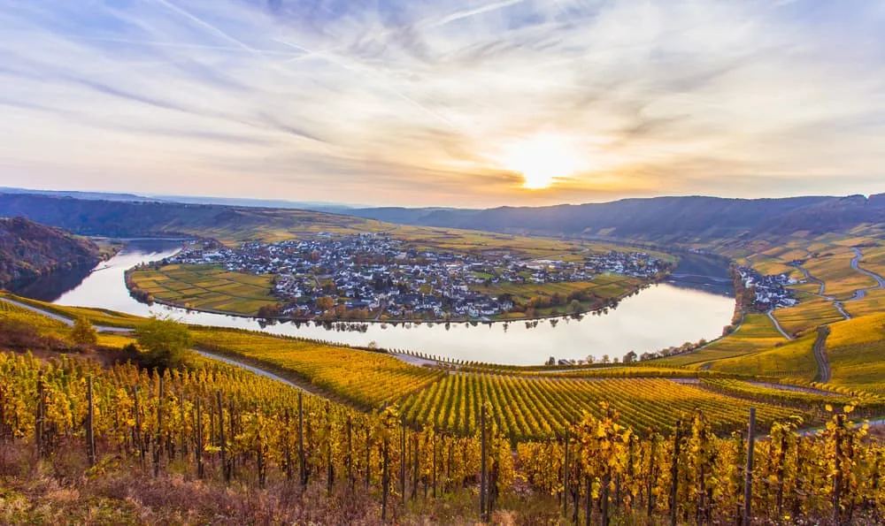 Moselsteig Trail: Hike and Wine Along The Moselle