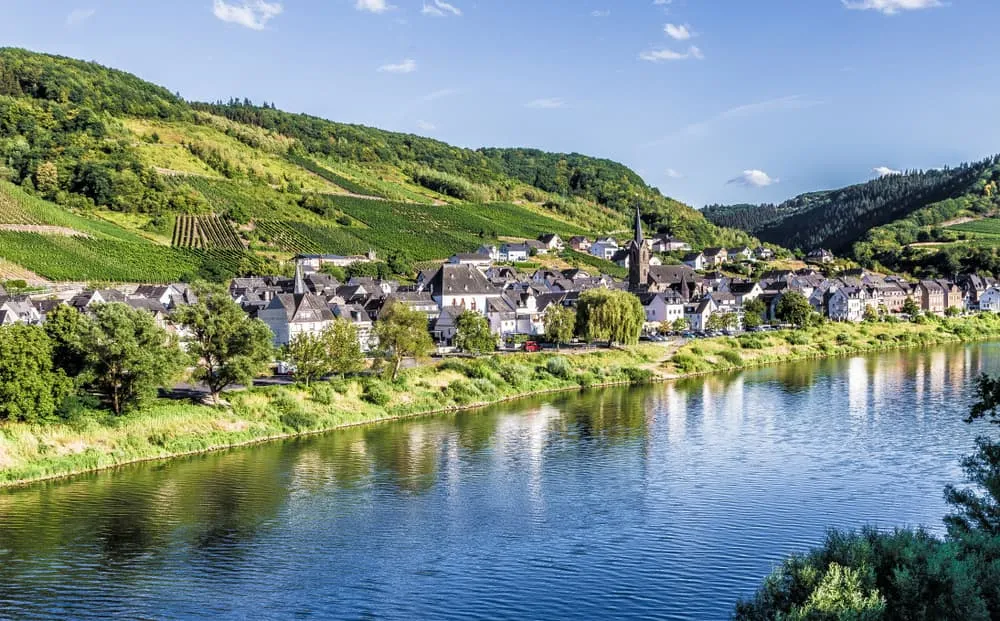 Moselsteig Wine and Castles: from Neef to Cochem 6