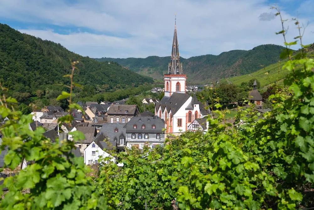 Moselsteig Wine and Castles: from Neef to Cochem 8