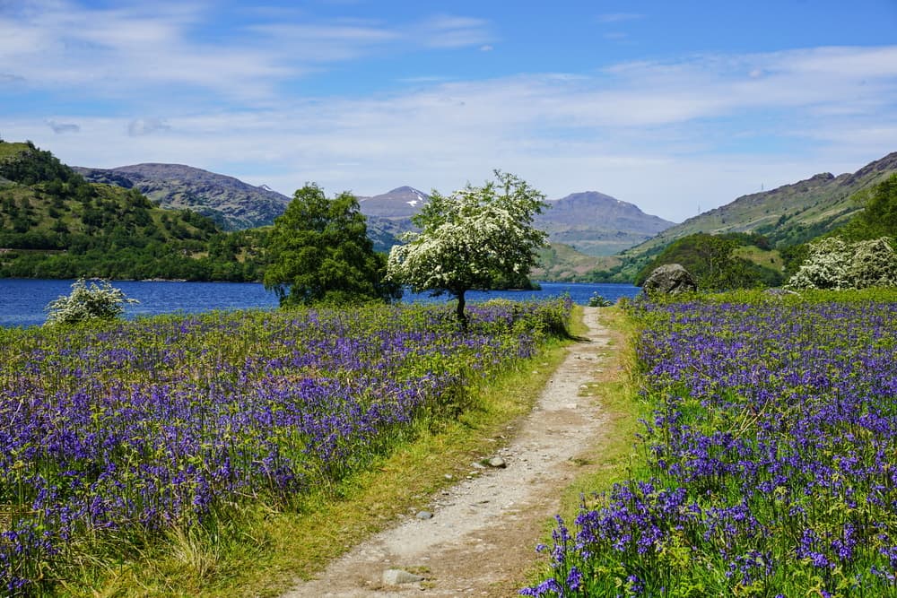 West Highland Way - Easy