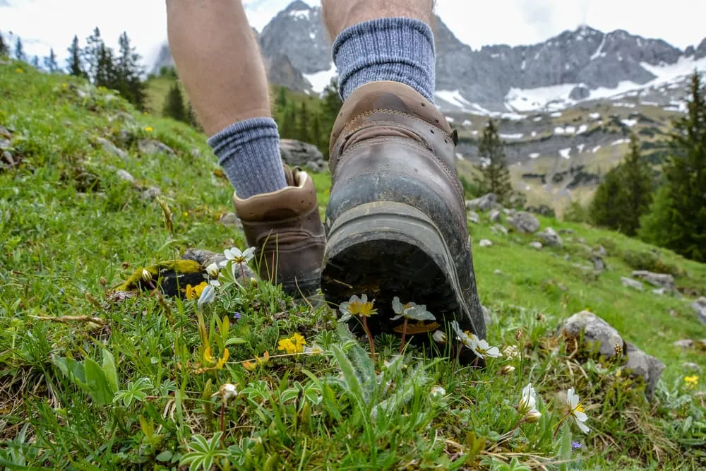 Walking Holidays Austria - The 7 Best Hiking Routes