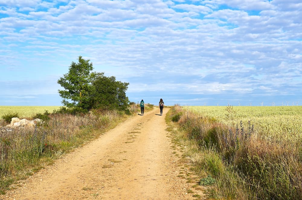 Camino Francés: Sarria naar Santiago