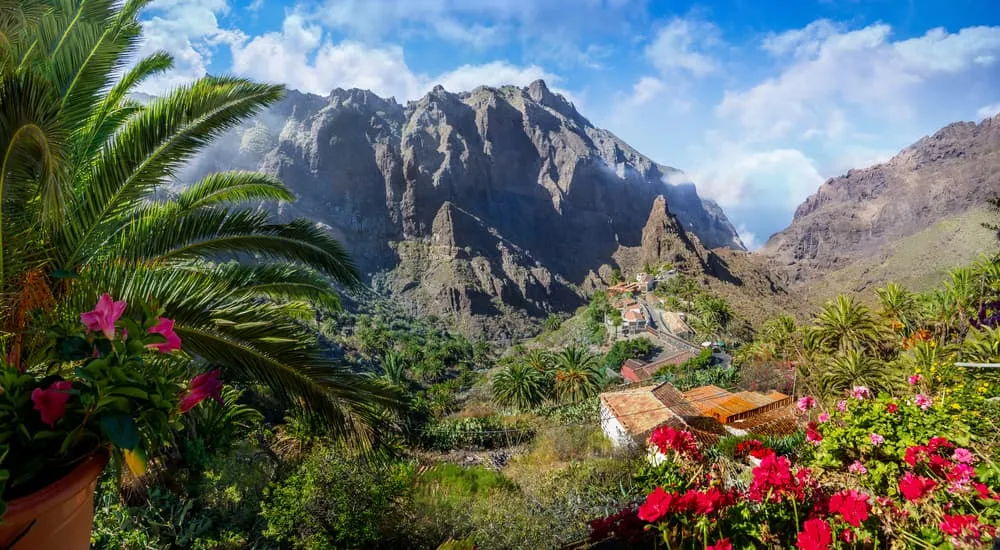The Best Season for Hiking in Tenerife