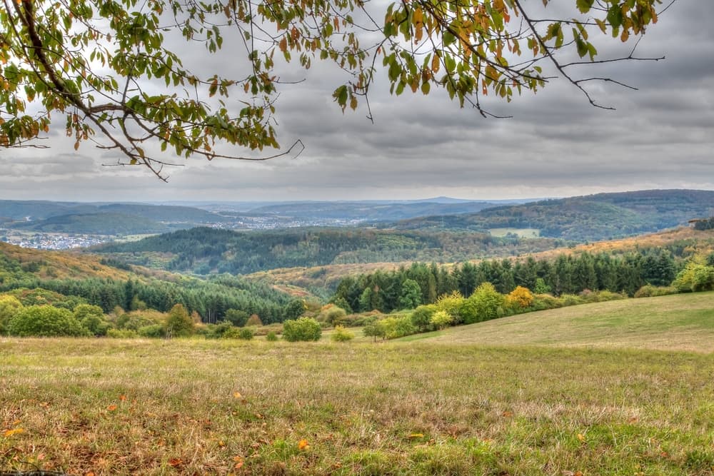 Rothaarsteig Trail: Everything About Hiking in Sauerland