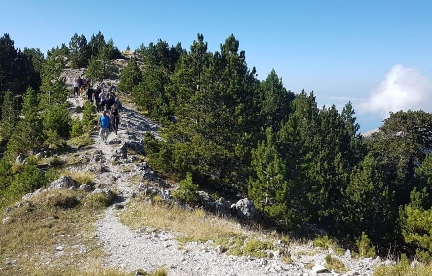 4-daagse trektocht in Zuid-Albanië (Met gids)