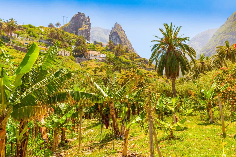 Walking in La Gomera: What and Where?