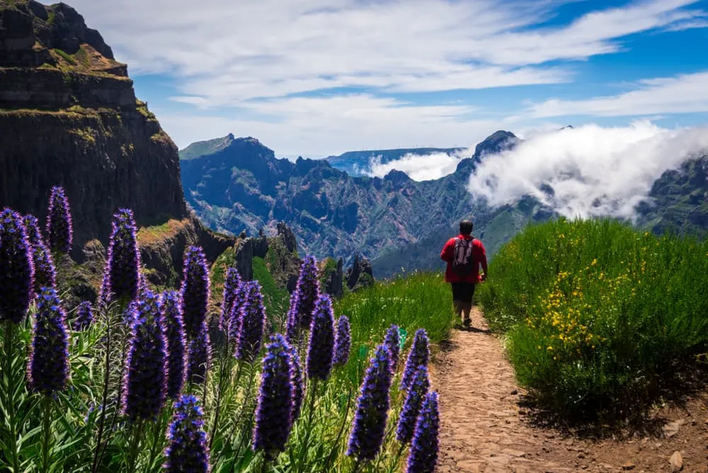 Walking in Madeira: Crossing the island on the Madeira Trail