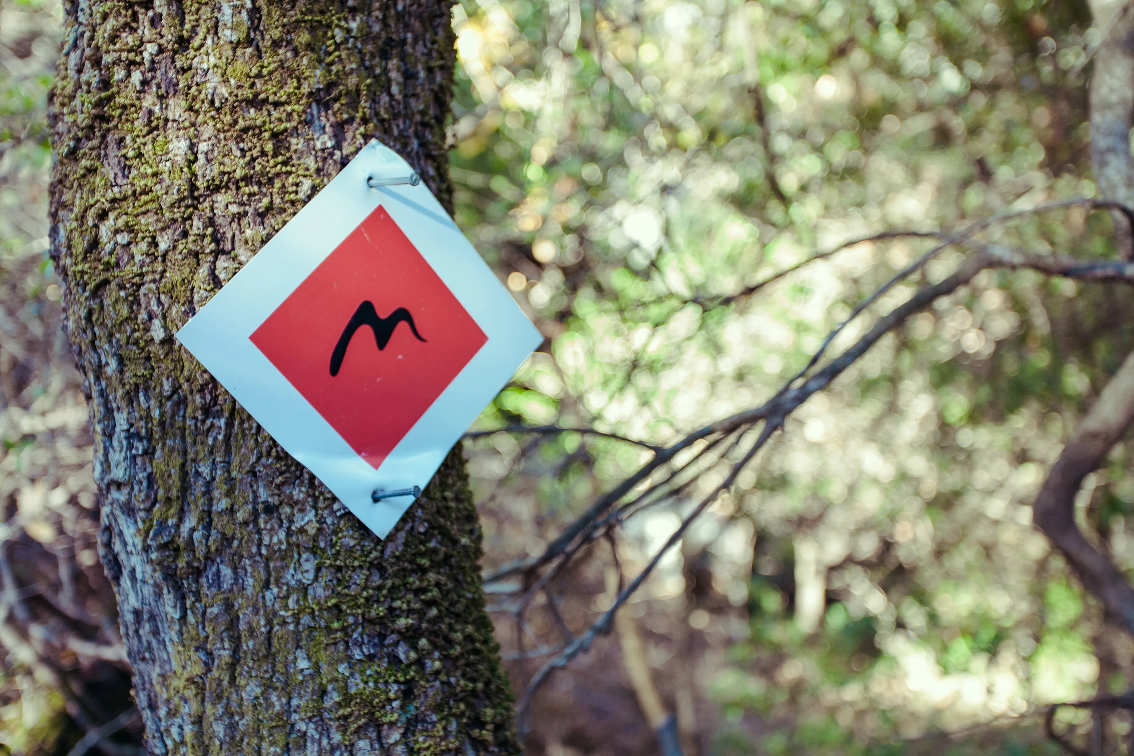 Menalon Trail: A Leading Quality Trail?