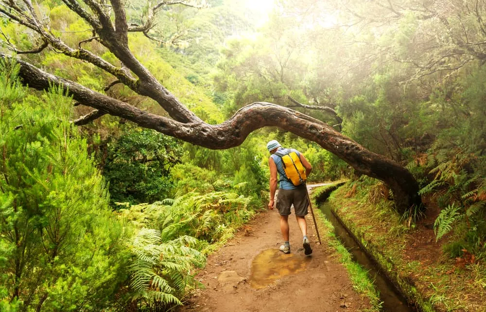 What Is Walking in Madeira All About?