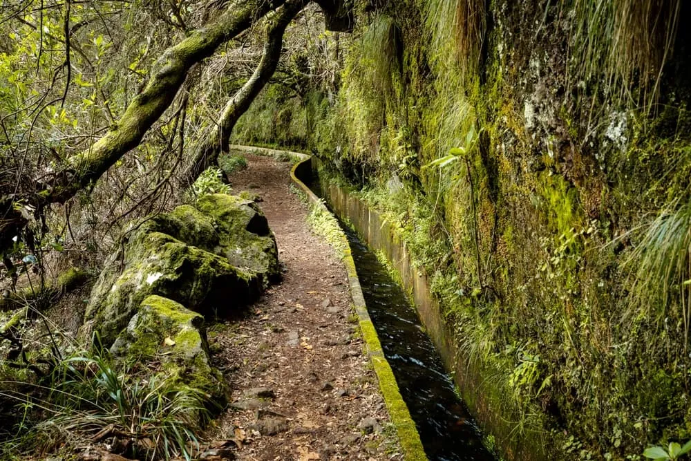 Madeira Trail 2