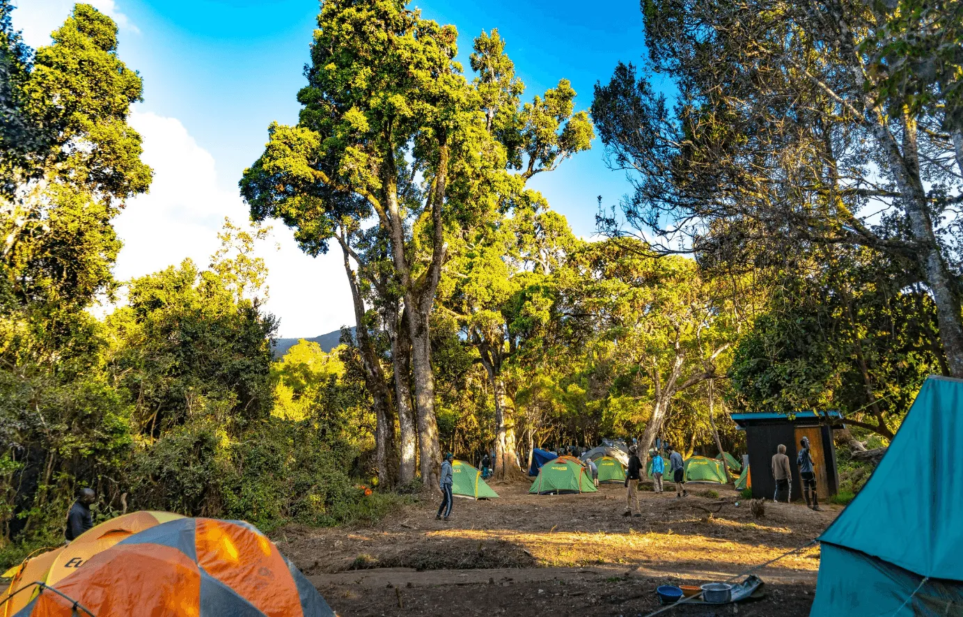 Mti Mkubwa Camp