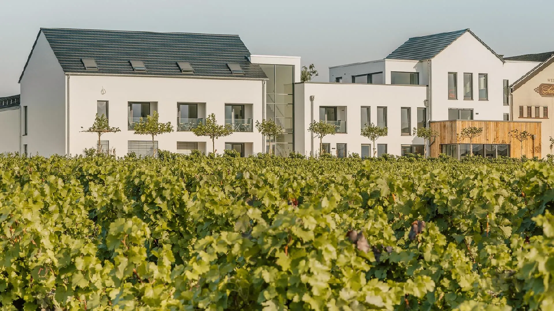 Zeit bei Sauerweins (Palzem)