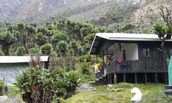 Bujuku hut