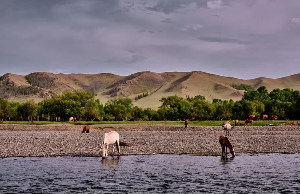 Tuul River