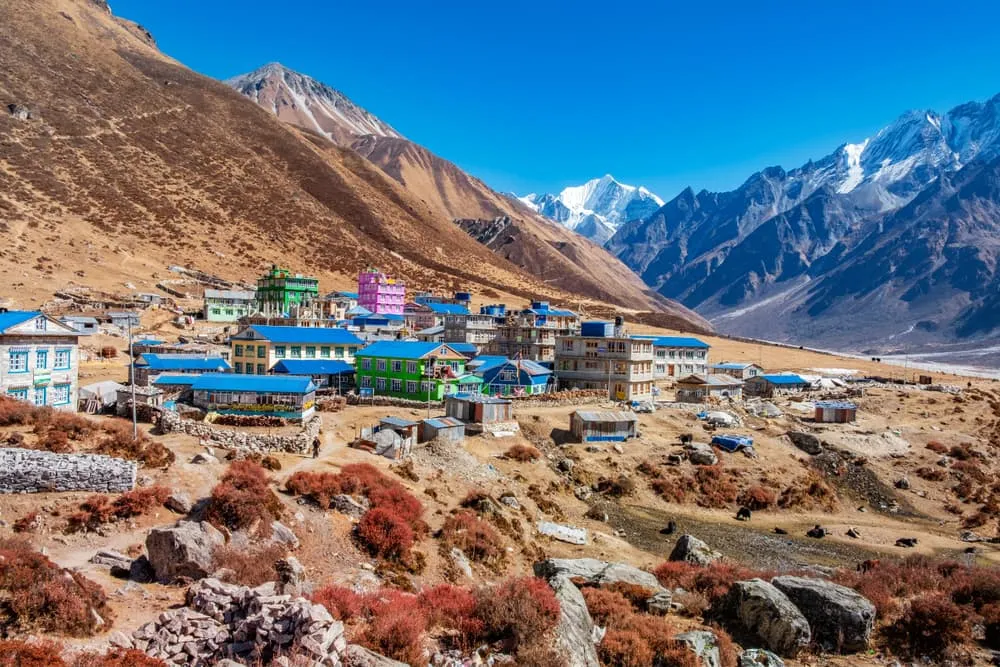 Langtang Valley Trek: Hike de meest toegankelijk tocht in Nepal