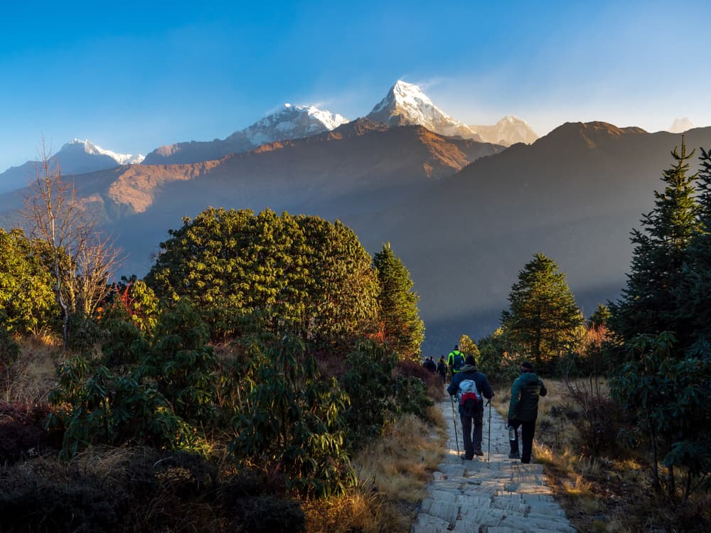 Ghorepani Poon Hill Trek Full