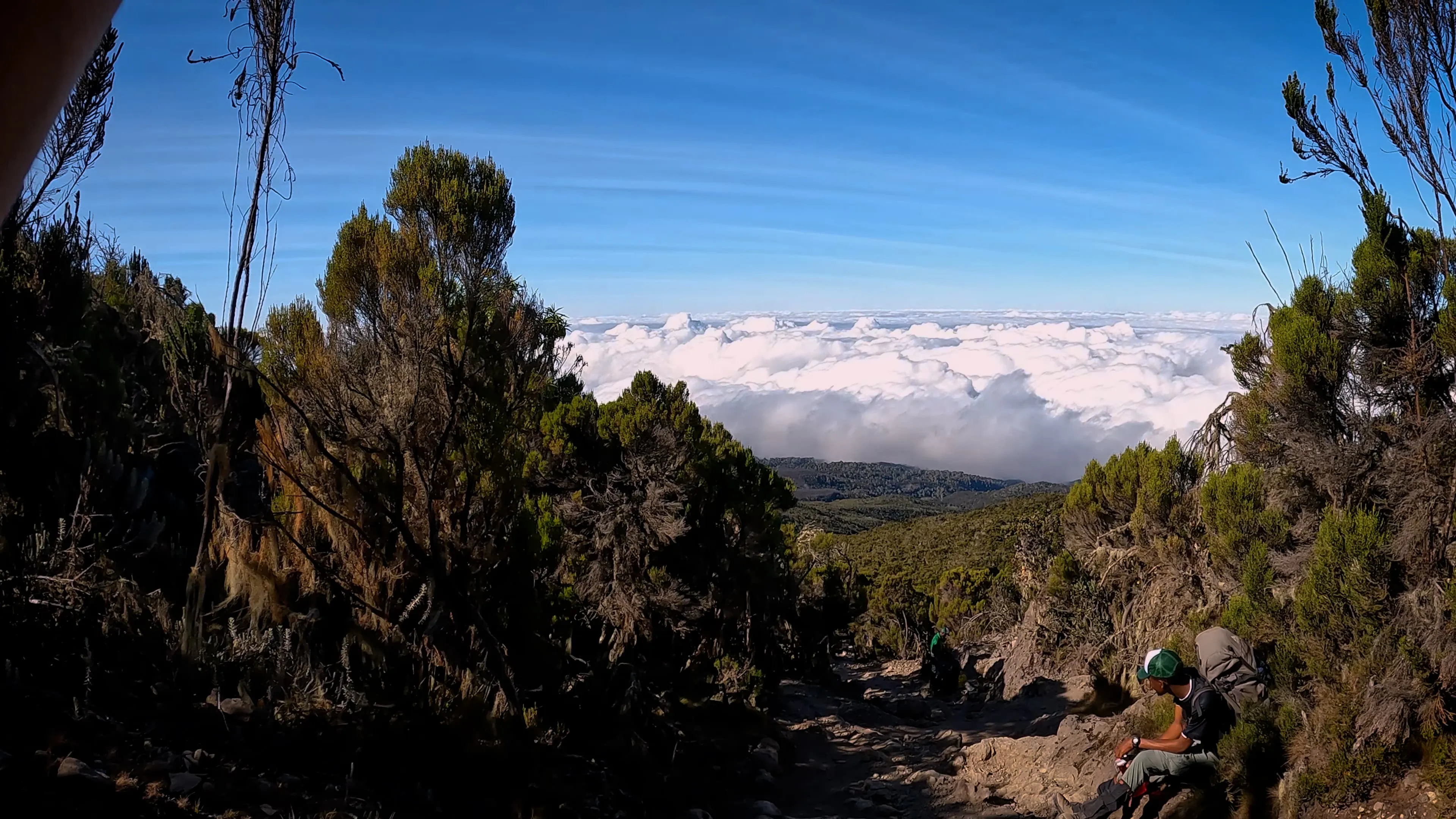 Mount Meru og 7-dages Lemosho rute trek