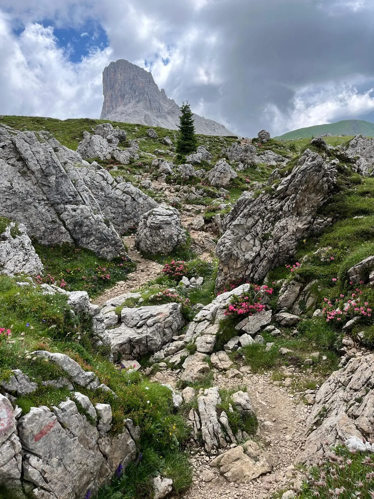 Südlicher Dolomiten Höhenweg 1 13