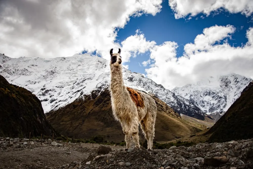 Ultieme Salkantay Trek