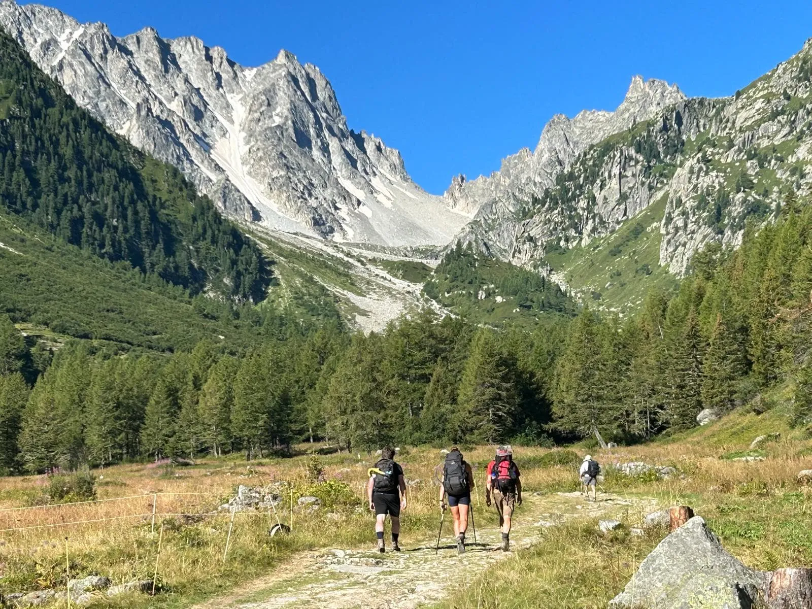 Westliche Tour du Mont Blanc - Inklusive Unterkunft vorher und nachher 9