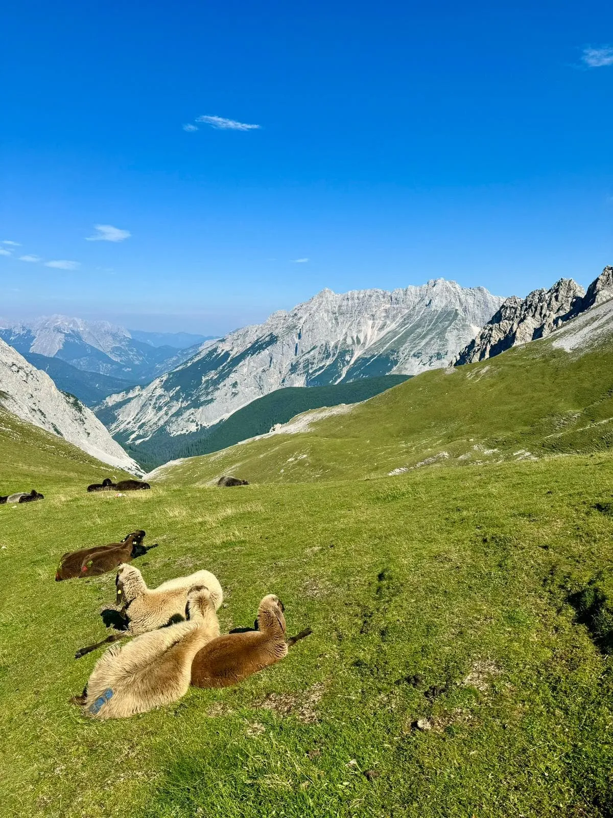 Sentier moyen de l'Adlerweg depuis Innsbruck 8