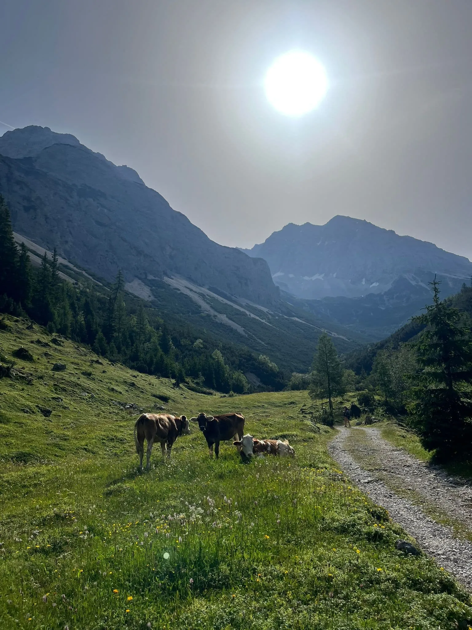 Krátký Adlerweg - Včetně ubytování před a po 4