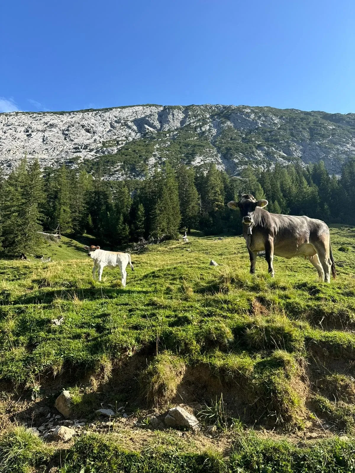 Sentier Adlerweg intensif depuis Innsbruck 10