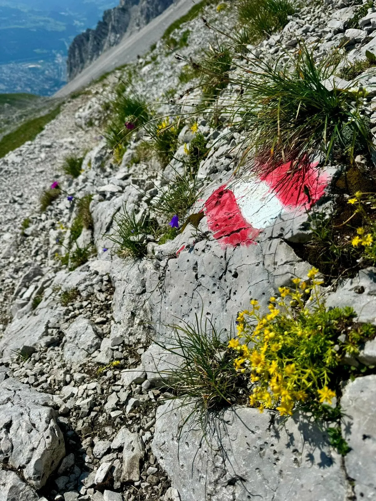 Short Adlerweg from Innsbruck 14