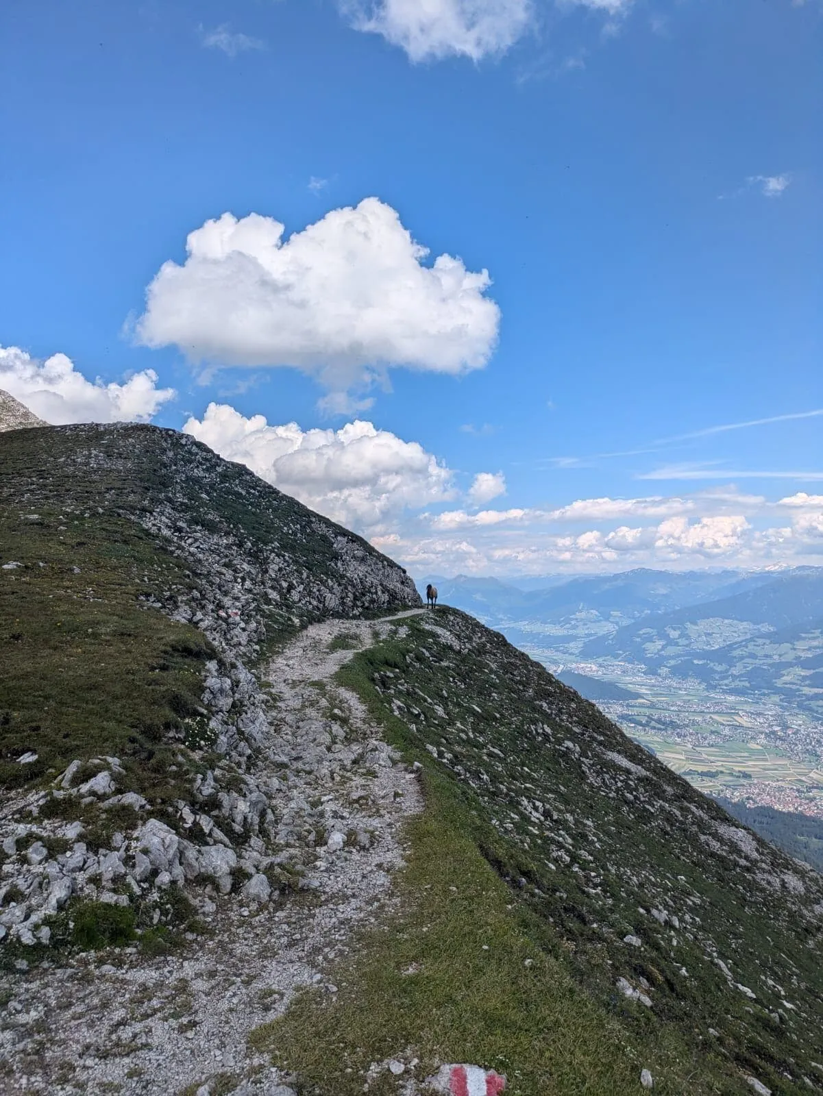 Sentier moyen de l'Adlerweg depuis Innsbruck 11