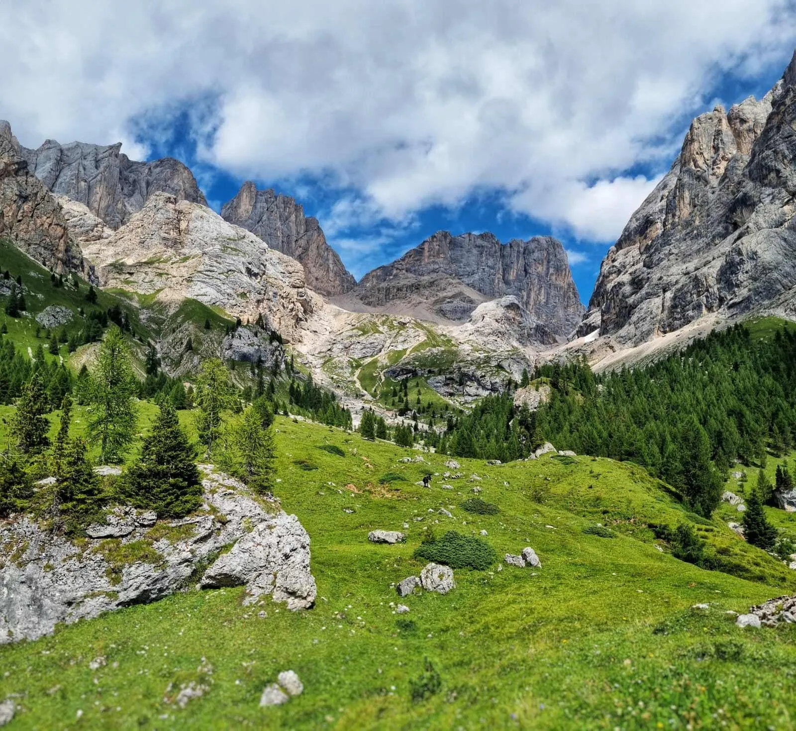 Halber Dolomiten Höhenweg 2 1