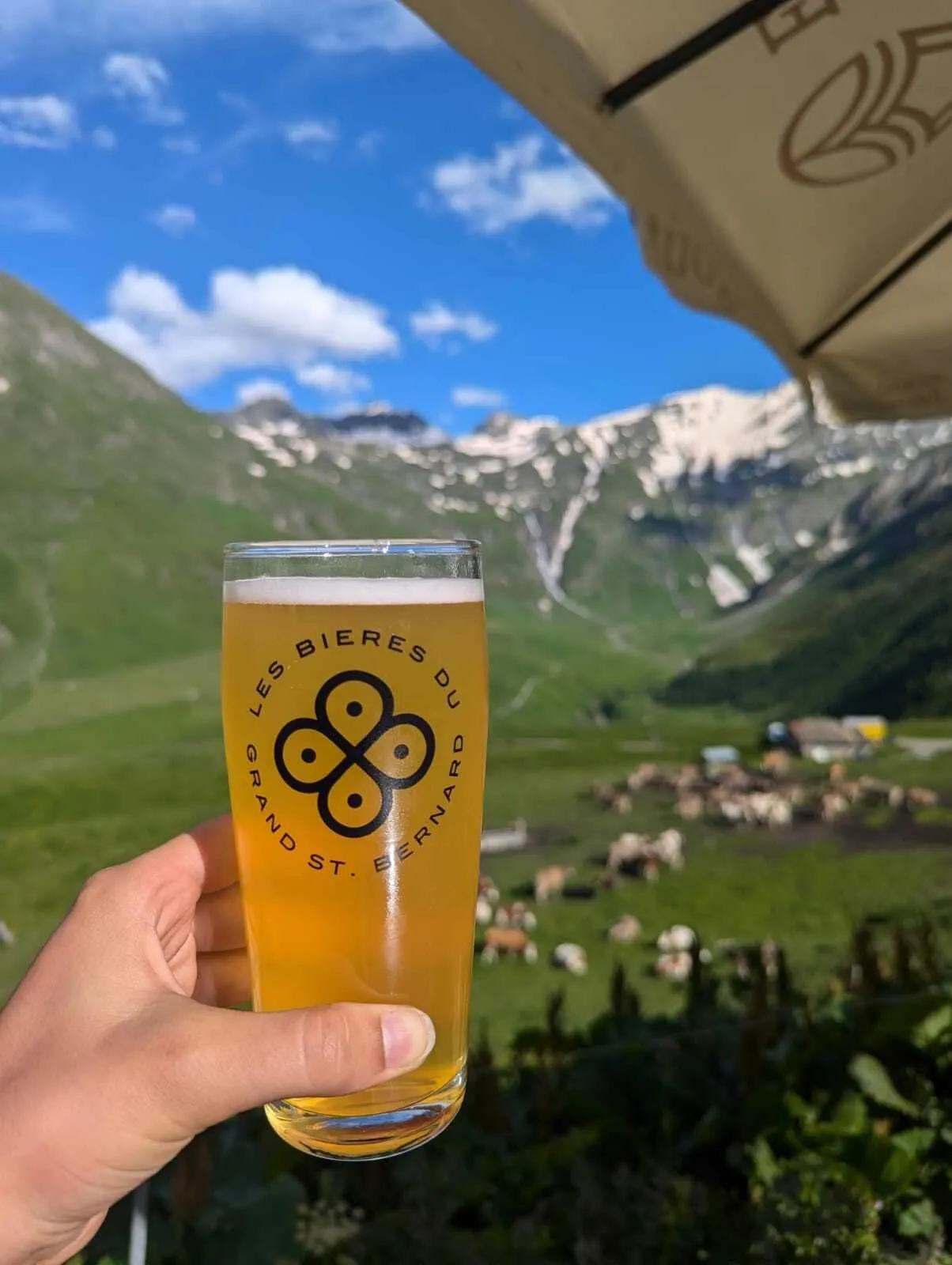 Tour du Mont Blanc occidental - Incluye alojamiento antes y después 13