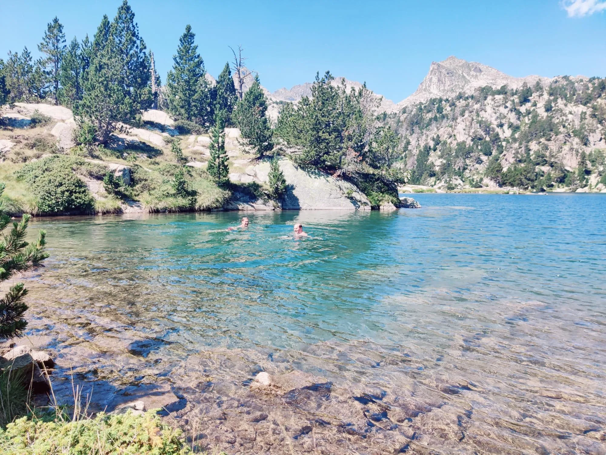 Family Petit Carros de Foc  5