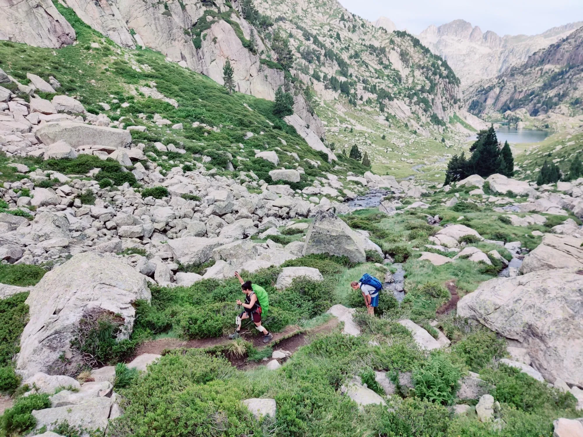 Family Petit Carros de Foc  7