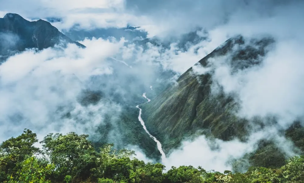 Forêt de nuages