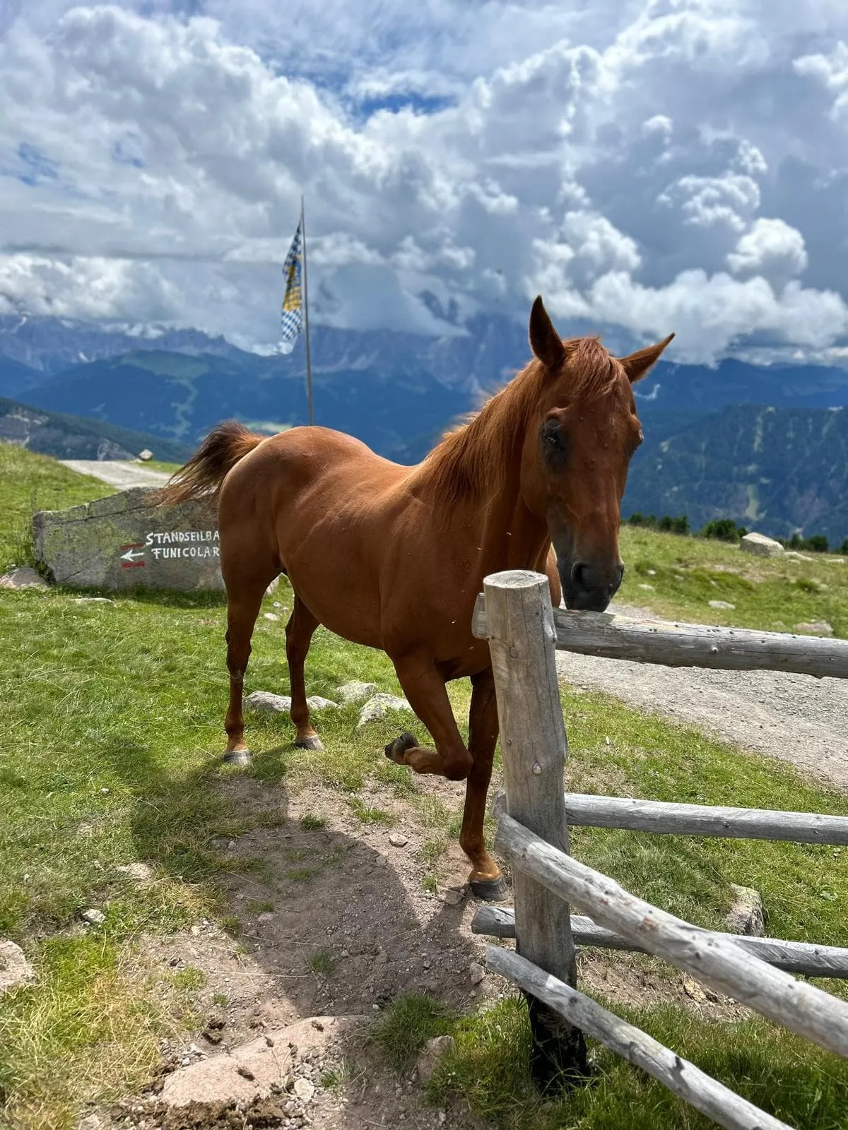 Relaxed Dolorama Weg - Including accommodation before and after 14